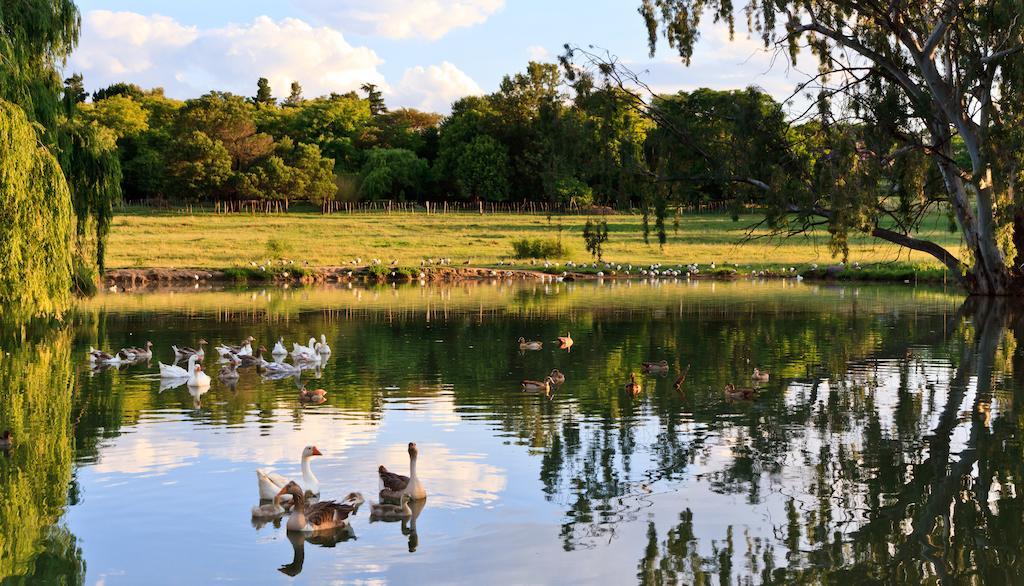Zulu Nyala Country Manor Hotel Johannesburg Kültér fotó