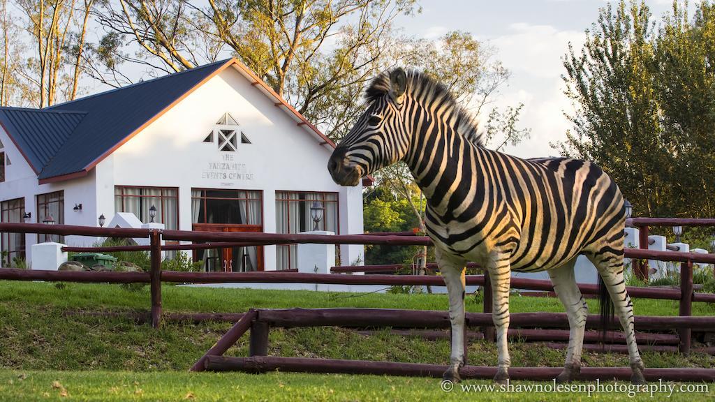 Zulu Nyala Country Manor Hotel Johannesburg Kültér fotó